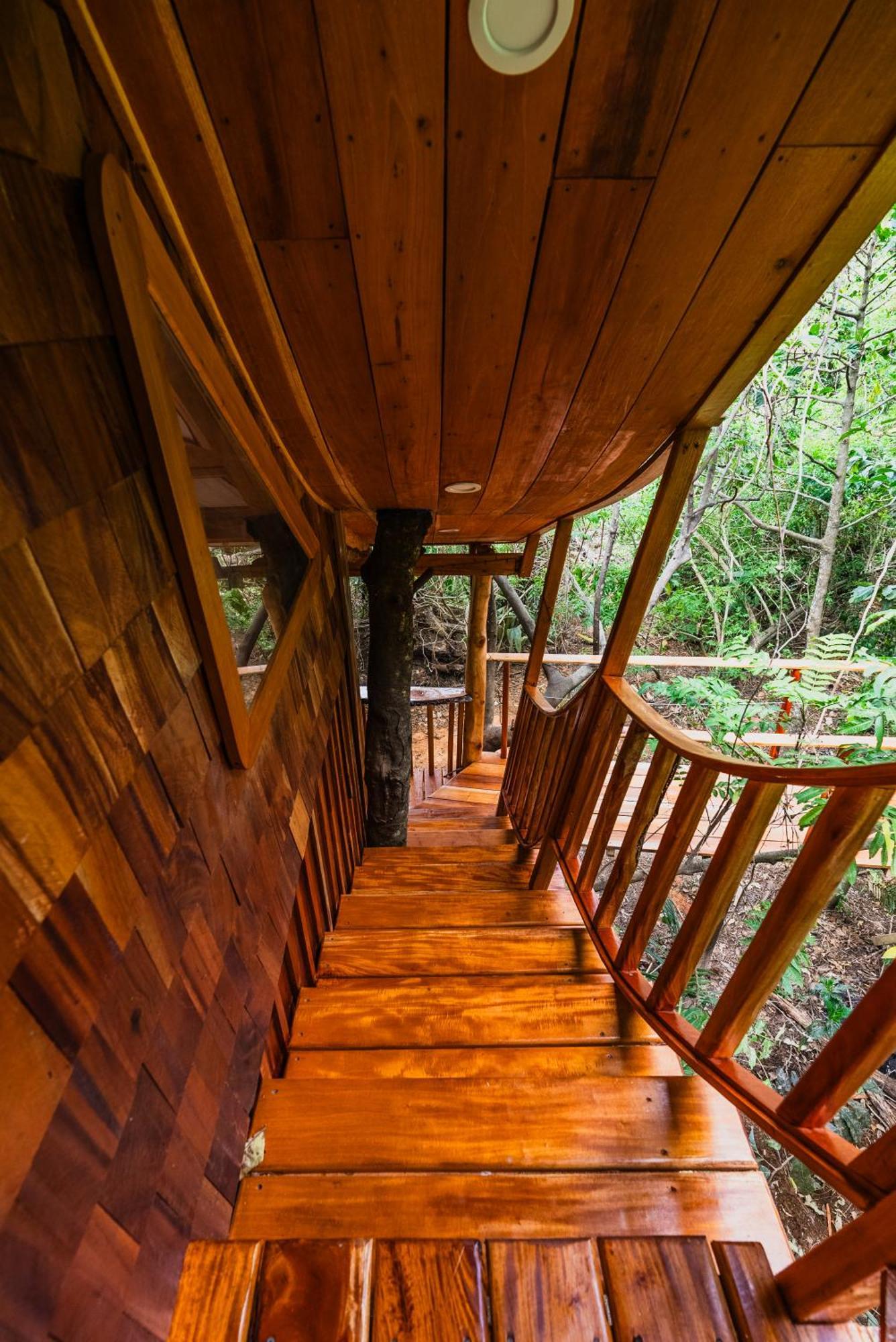 Tukulolo Treehouses Makaunga المظهر الخارجي الصورة