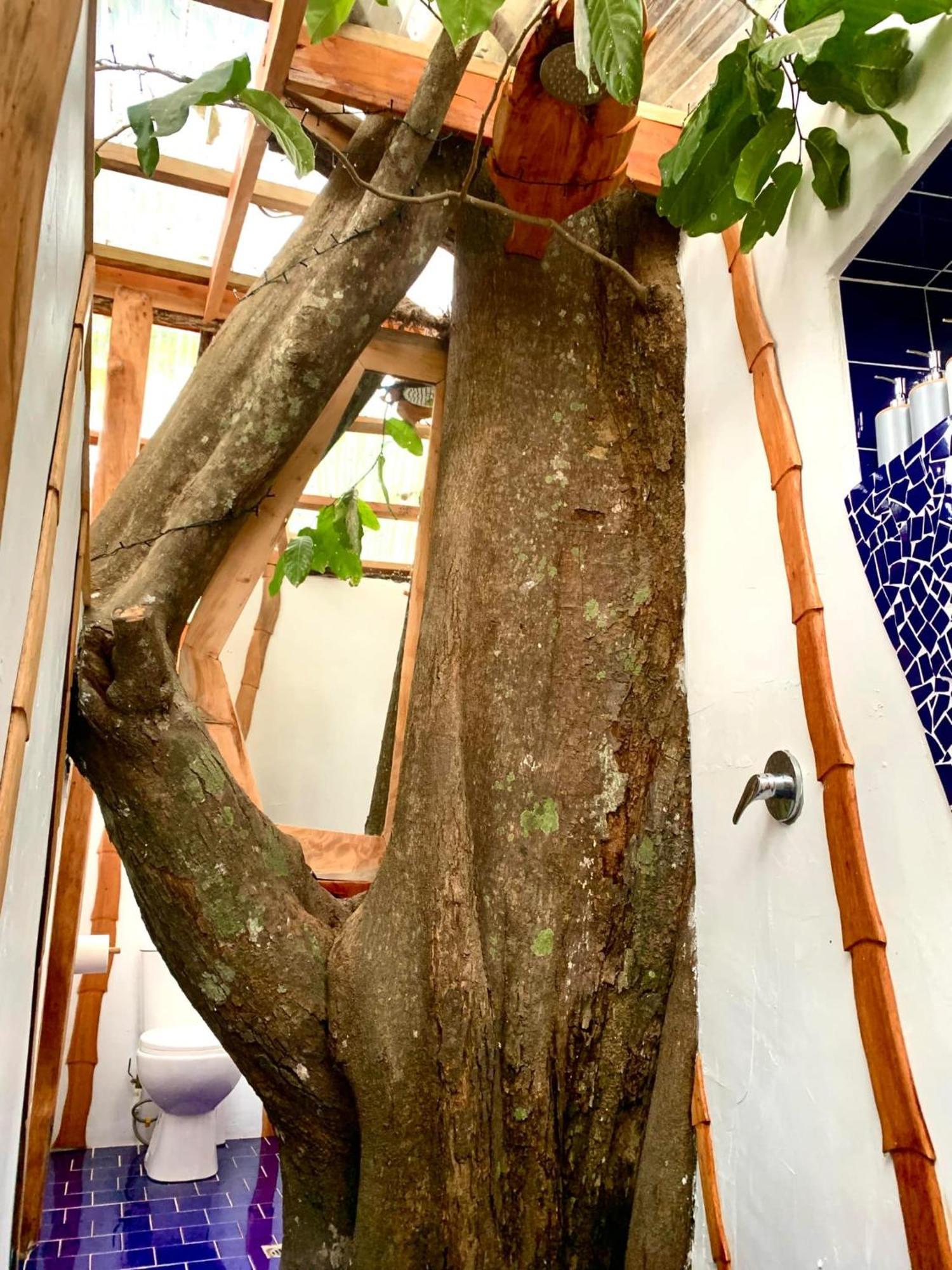 Tukulolo Treehouses Makaunga المظهر الخارجي الصورة