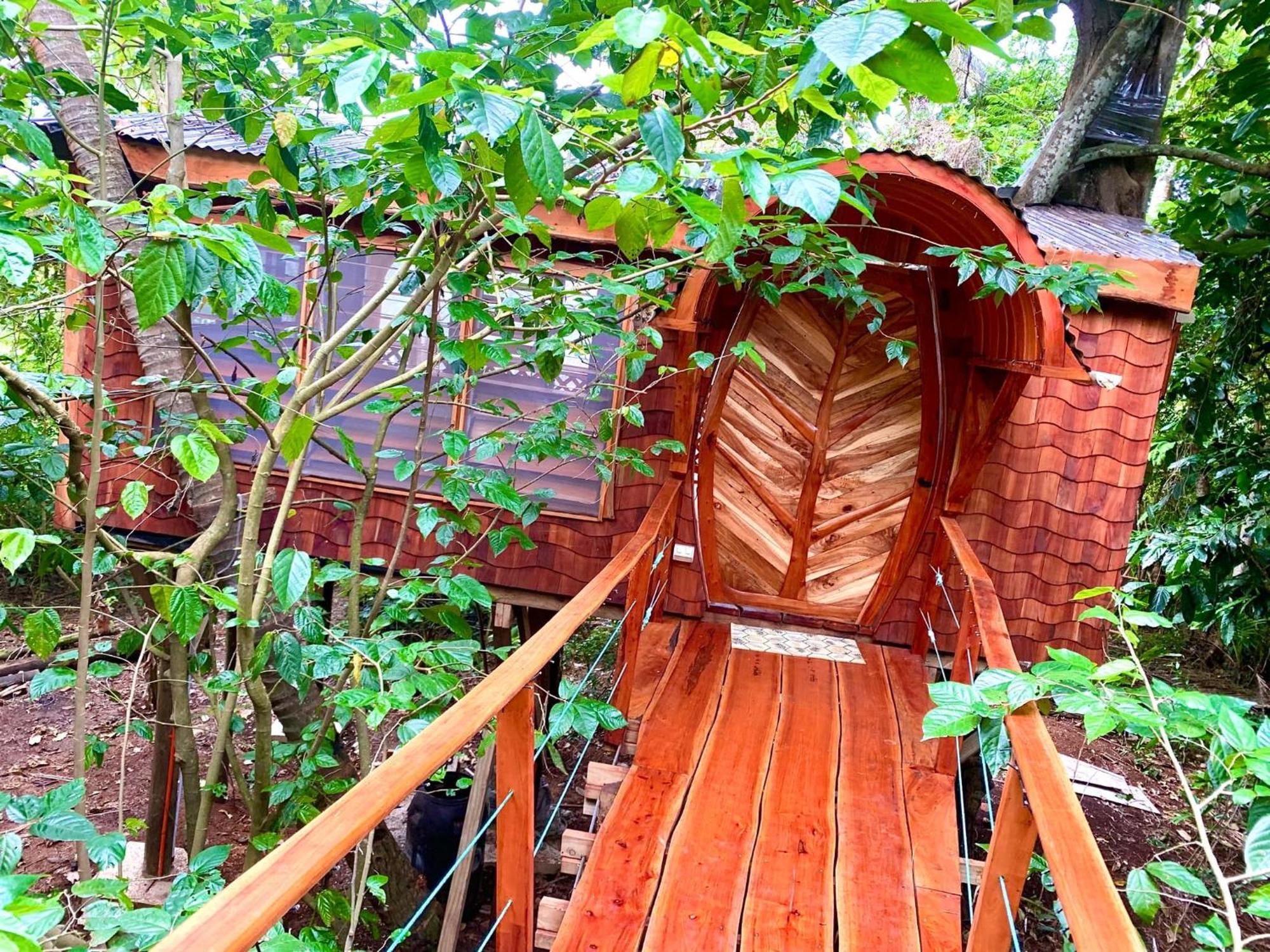 Tukulolo Treehouses Makaunga المظهر الخارجي الصورة