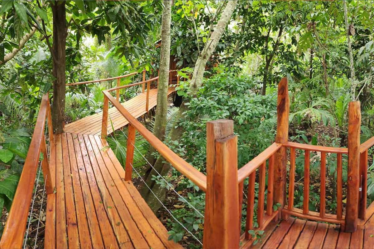 Tukulolo Treehouses Makaunga المظهر الخارجي الصورة